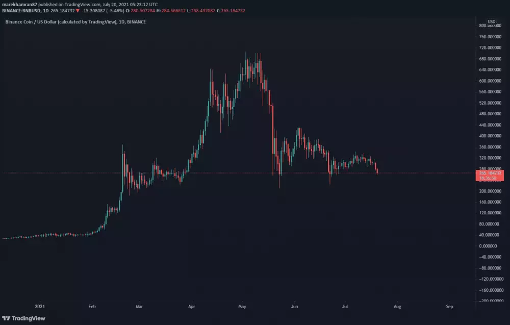 BNB/USD denný graf. Zdroj: TradingView