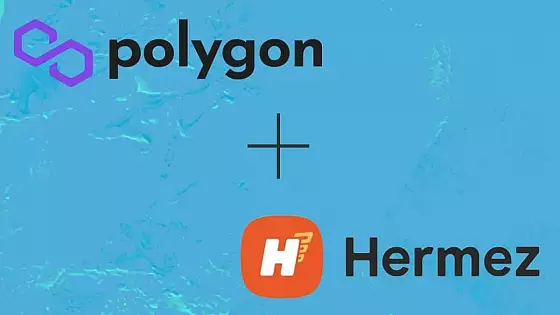 Polygon a Hermez