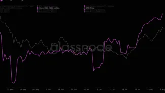 Nárast subjektov z 10 až 100 000 BTC. Zdroj: William Clemente III / Twitter