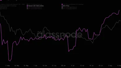 Nárast subjektov z 10 až 100 000 BTC. Zdroj: William Clemente III / Twitter