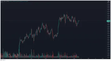 BTC/BUSD 30 - minútový TF. Zdroj: TradingView
