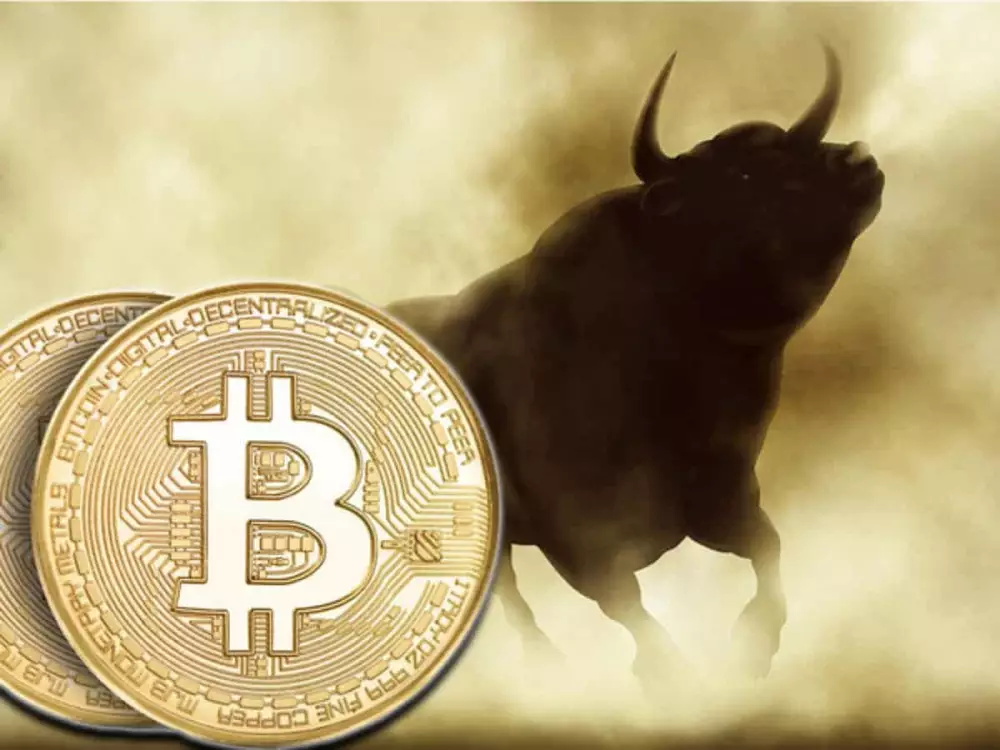 Bitcoin bullrun