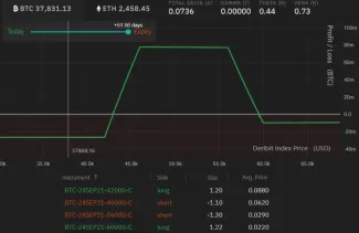 Výnosy z BTC opčnej stratégie. Zdroj: Deribit Position Builder