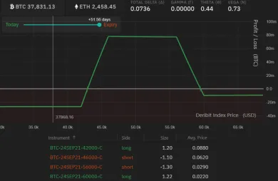 Výnosy z BTC opčnej stratégie. Zdroj: Deribit Position Builder