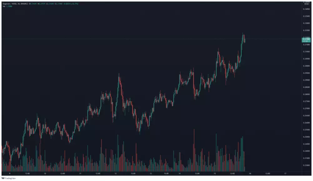 DOGE/BUSD 30-minutový TF. Zdroj: TradingView