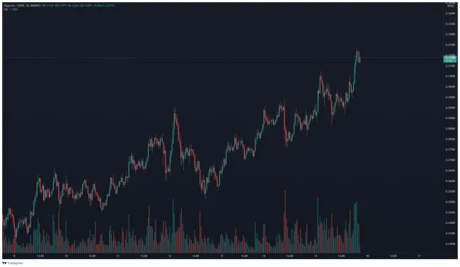 DOGE/BUSD 30-minutový TF. Zdroj: TradingView
