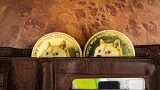 DOGE report