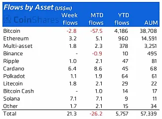 Investície do projektov