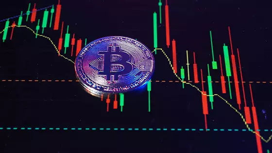 btc analýza. Zdroj: Shutterstock.com/gnepphoto