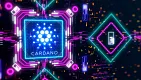 Cardano ADA. Zdroj: Shutterstock.com/Aleksandra Sova