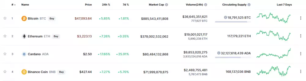 Cardano kapitalizácia. Zdroj: Coinmarketcap.com