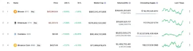 Cardano kapitalizácia. Zdroj: Coinmarketcap.com