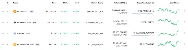 Cardano kapitalizácia. Zdroj: Coinmarketcap.com