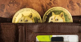 Dogecoin. Zdroj: Google