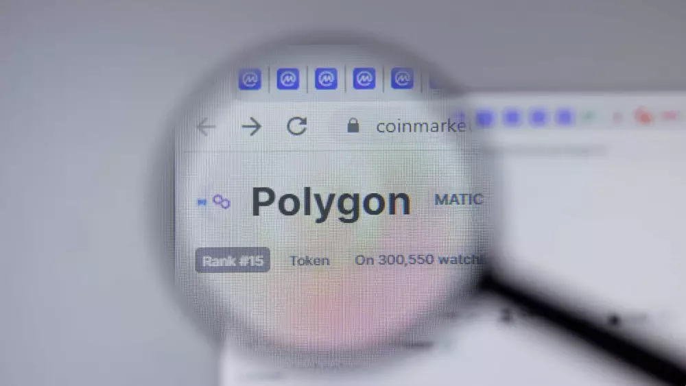 Polygon Matic. Zdroj: Shutterstock.com/Postmodern Studio