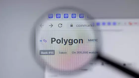 Polygon Matic. Zdroj: Shutterstock.com/Postmodern Studio