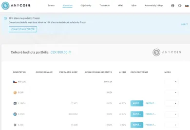 Anycoin stav účtov. Zdroj: Anycoin