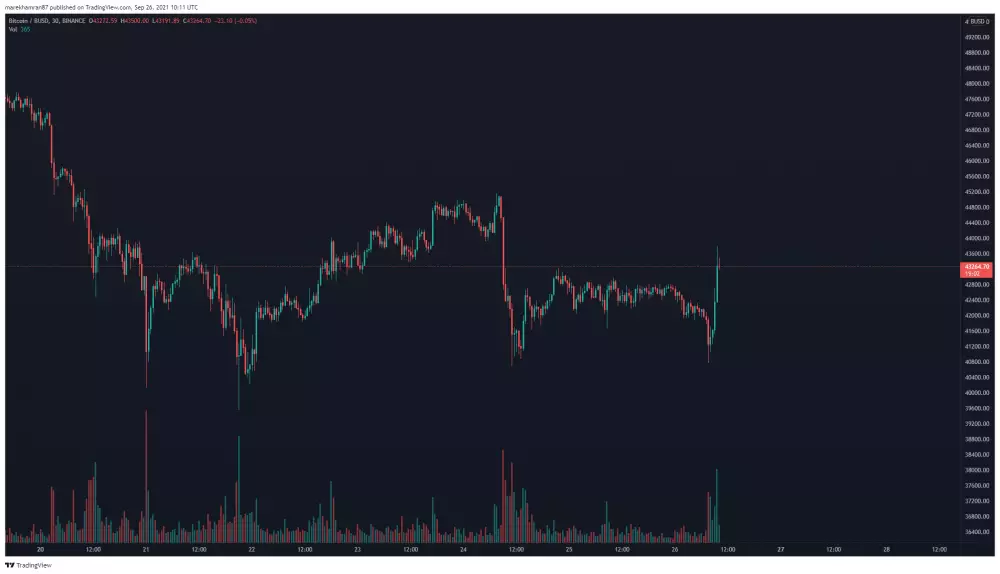 BTC/BUSD