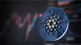 Cardano rastie