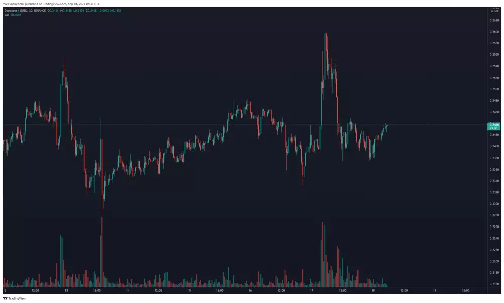 DOGE/BUSD