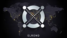 protokol Elrond rastie