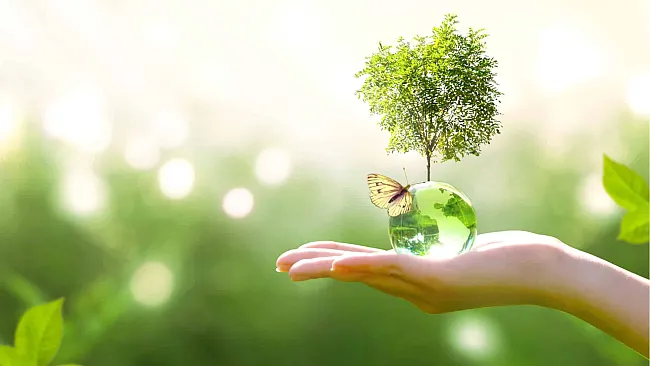 GNL a zelená planéta. Zdroj: Shutterstock.com/Julia Ardaran