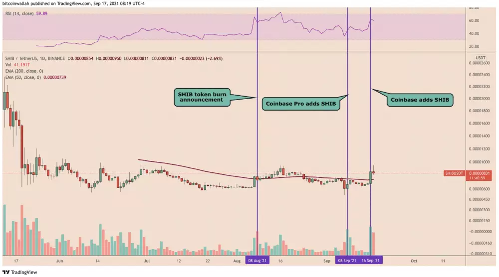 SHIB/USDT 1D. Zdroj: TradingView