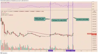 SHIB/USDT 1D. Zdroj: TradingView