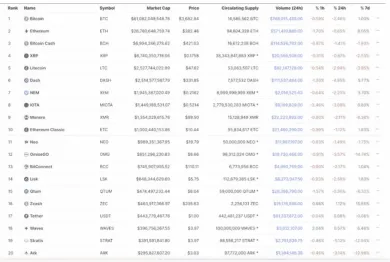 TOP 20 kryptomien 2017. Zdroj: TheCryptoLark/Twitter