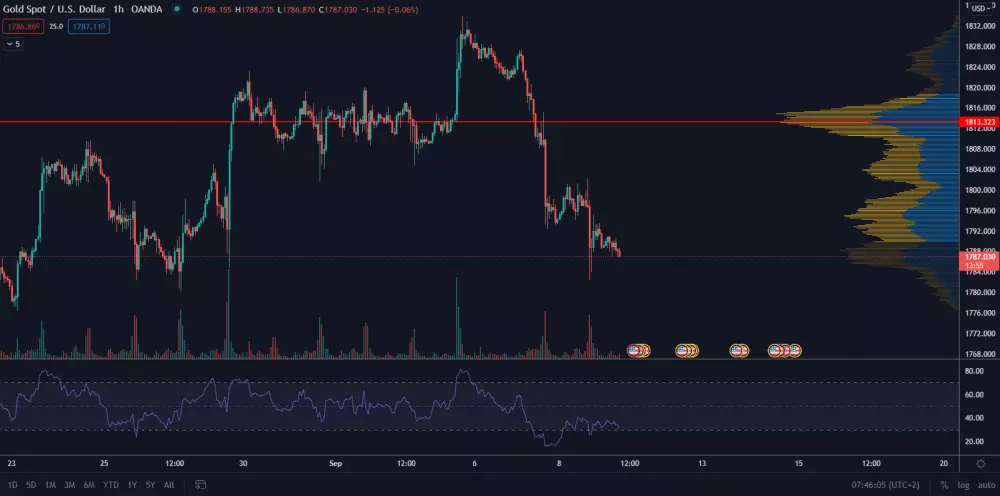 XAU/USD 1H. Zdroj: TradingView