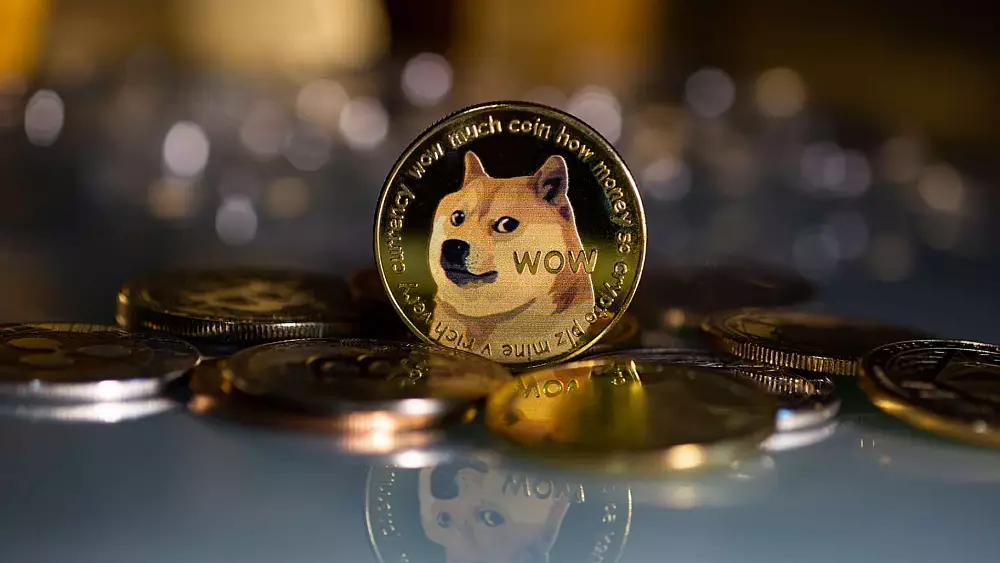 Dogecoin v AMC?