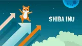 projekt Shiba Inu