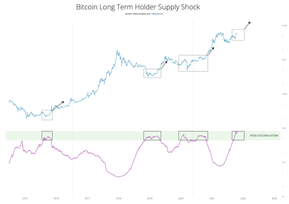 BTC Long Term Holder Supply Shock. Zdroj: Willy Woo/ Twitter