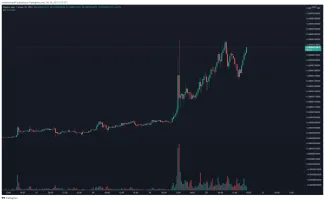 ELON/USDT