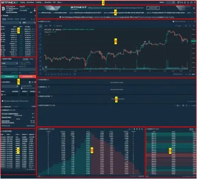 Platforma Bitfinex. Zdroj: Bitfinex