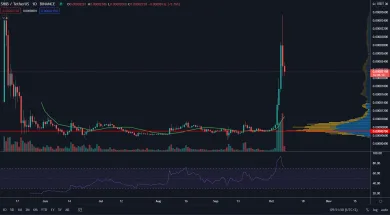 SHIB/USDT 1D. Zdroj: TradingView