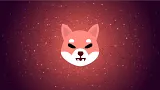 Shiba Inu s obrovským rastom