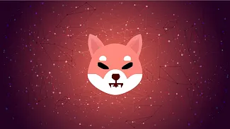 Shiba Inu s obrovským rastom