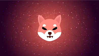 Shiba Inu s obrovským rastom