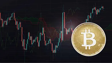 Bitcoin bojuje proti inflácií