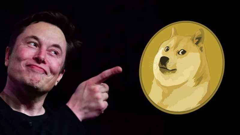 Elon Musk a Dogecoin