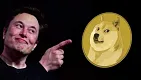 Elon Musk a Dogecoin