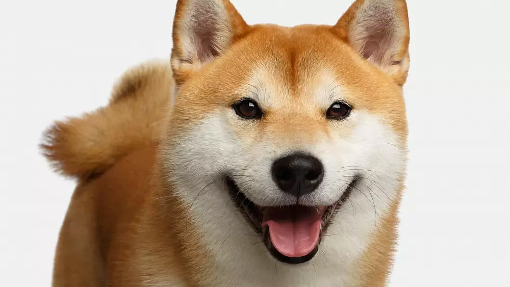 Token Shiba Inu