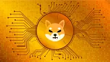 Shiba Inu nakúpila veľryba