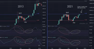 2013 vs. 2021 BTC. Zdroj: TechDev/Twitter