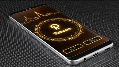 Polkadot a parachain auckie