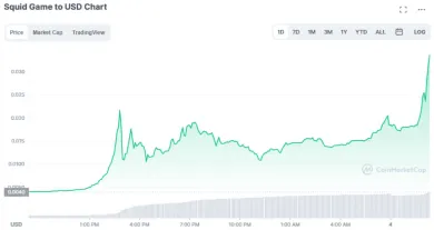 SQUID/USD. Zdroj: Coinmarketcap