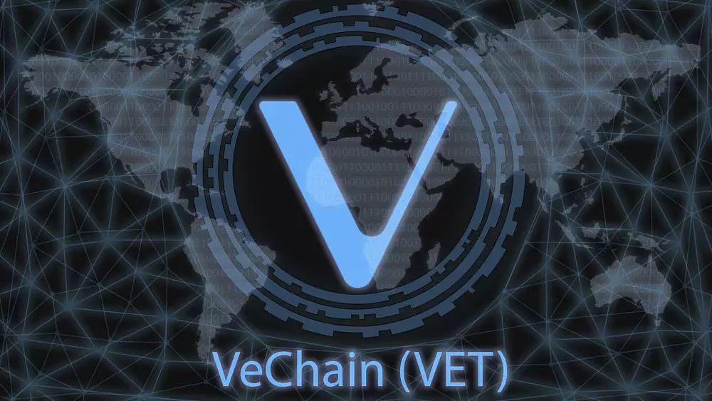 VeChain VET PoA