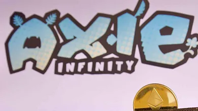 Axie Infinity