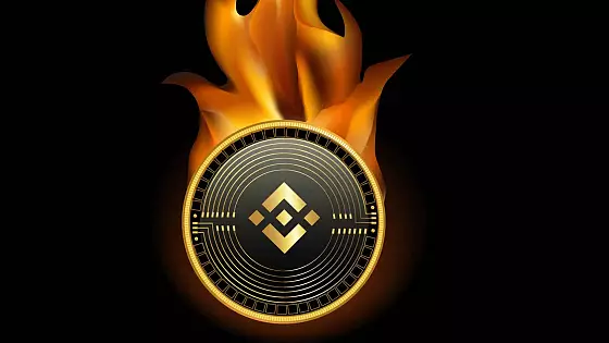 Binance coin spaľovanie minci